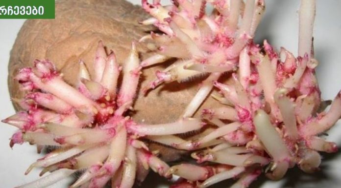 ჩემს ნათესავს დიდი ხნის განმავლობაში აწუხებდა მუხლის ტკივილი.უნიკალური რეცეპტი სახსრების აღდგენისთვის