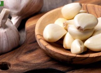 რა დაემართება სხეულს, თუ ყოველდღიურად მიირთმევთ ნიორს