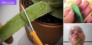 ალოე ვერას რეცეპტი კანის დასარბილებლად