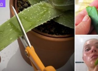 ალოე ვერას რეცეპტი კანის დასარბილებლად