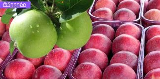 ვაშლის დიეტა – წონაში 7 კილოგრამამდე დაკლება შეგიძლიათ 7 დღეში