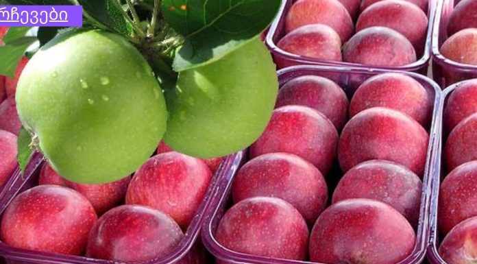 ვაშლის დიეტა – წონაში 7 კილოგრამამდე დაკლება შეგიძლიათ 7 დღეში