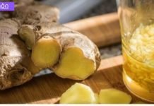 ტიბეტური ჯანჯაფილის ნაყენი იმუნიტეტის გასაძლიერებლად და მეტაბოლიზმის ნორმალიზებისთვის