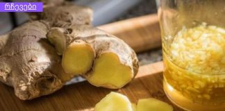 ტიბეტური ჯანჯაფილის ნაყენი იმუნიტეტის გასაძლიერებლად და მეტაბოლიზმის ნორმალიზებისთვის