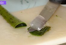 ალოე ვერა უკვდავების მცენარეა – დაგეხმარებათ წონაში დაკლებაში, განკურნავთ 50-ზე მეტ დაავადებას!