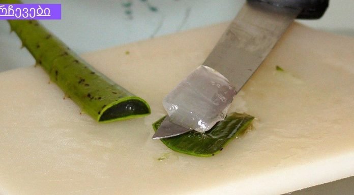 ალოე ვერა უკვდავების მცენარეა – დაგეხმარებათ წონაში დაკლებაში, განკურნავთ 50-ზე მეტ დაავადებას!