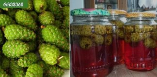 ფიჭვის გირჩის ჯემის რეცეპტი,სანამ არ გავსინჯე იქამდე ვერ დავიჯერე,რამდენად სასარგებლო იყო.