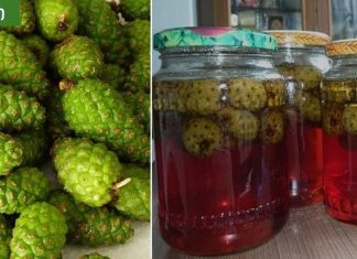 ფიჭვის გირჩის ჯემის რეცეპტი,სანამ არ გავსინჯე იქამდე ვერ დავიჯერე,რამდენად სასარგებლო იყო.