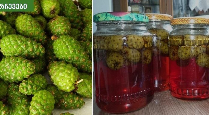 ფიჭვის გირჩის ჯემის რეცეპტი,სანამ არ გავსინჯე იქამდე ვერ დავიჯერე,რამდენად სასარგებლო იყო.