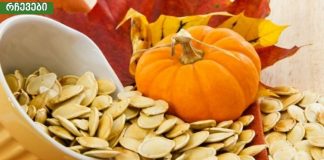 როგორ მიირთვათ გოგრის თესლი, რათა მოვიშოროთ დიაბეტი,ჭიები, ქოლესტერინი, ტრიგლიცერიდები.