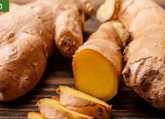 ჯანჯაფილის სარგებელი გასახდომად და ნაოჭების საწინააღმდეგოდ!