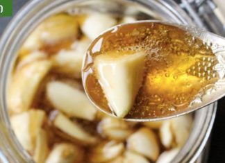 სამწუხაროა, რომ ახლახან გავიგე ამის შესახებ! მიირთვით ნიორი და თაფლი უზმოზე 7 დღის განმავლობაში, აი რა დაემართება თქვენს ორგანიზმს.