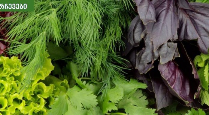 ამ მწვანილების გარეშე არცერთი დღე უნდა გაატაროთ.ყველაზე ჯანსაღი მწვანილი