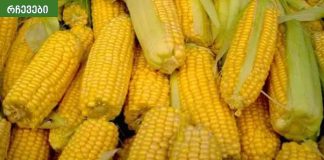 სიმინდის სარგებელი ჯანმრთელობასა და სილამაზეზე.