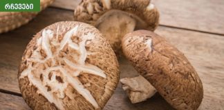 სოკო აახალგაზრდავებს ორგანიზმს.