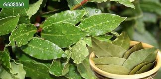 რა არის დაფნის საპონი და მისი ყველაზე მნიშვნელოვანი ესთეტიკური სარგებელი