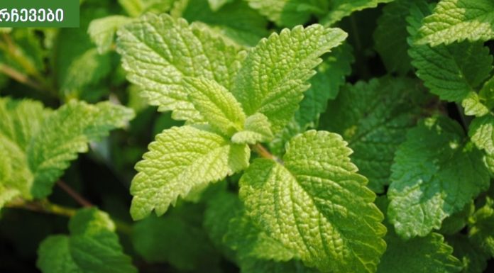 ჯანსაღი სასმელი, რომელიც გაგიმაგრებთ ფილტვებს