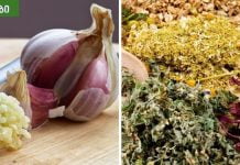 როგორ მოვიშოროთ პარაზიტები ბებიას მეთოდებით?ჭიების მკურნალობა ხალხური საშუალებებით სახლში სწრაფად.