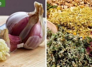 როგორ მოვიშოროთ პარაზიტები ბებიას მეთოდებით?ჭიების მკურნალობა ხალხური საშუალებებით სახლში სწრაფად.