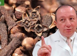 მიხაკის სასარგებლო თვისებები: ყელის ტკივილი,ღვიძლის ფუნქცია,ხველა.