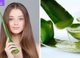 ალოე ვერას ზეთი თმისთვის: მარტივი რეცეპტი თმის ცვენის სწრაფად სამკურნალოდ