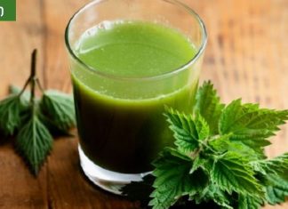 ლიმონზე ორჯერ მეტ C ვიტამინს შეიცავს ჭინჭრის წვენი.