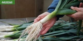 რატომ უნდა ვჭამოთ პრასი? პრასის სარგებელი უცნობი მხარეები