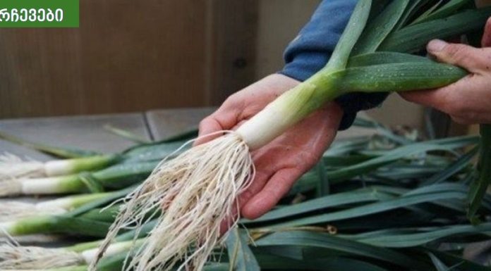 რატომ უნდა ვჭამოთ პრასი? პრასის სარგებელი უცნობი მხარეები