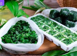 გაყინვა შესანიშნავად ინარჩუნებს ვიტამინებს.როგორ გამოვიყენოთ გაყინული მწვანილი.