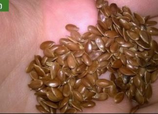 აი, რა დაემართება ორგანიზმს, თუ სელის თესლს ყოველდღე მიირთმევთ.