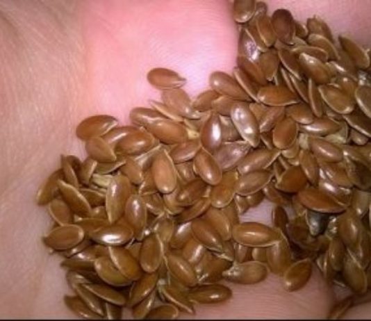 აი, რა დაემართება ორგანიზმს, თუ სელის თესლს ყოველდღე მიირთმევთ.