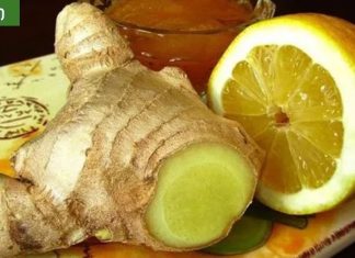 ამ ქალბატონმა დაისვენა სახსრების ტკივილისგან.ასე მოხარშული ჯანჯაფილი მკურნალობს ართრიტს, კუჭის ტკივილს და ამცირებს ქოლესტერინს და სისხლში შაქრის დონეს!