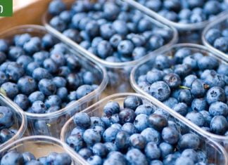 თირკმელების გამწმენდი სასმელი: ეს საშუალება სასწაულებს ახდენს! თავად სცადეთ და ამაში თქვენ თვითონ დარწმუნდებით!