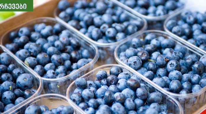 თირკმელების გამწმენდი სასმელი: ეს საშუალება სასწაულებს ახდენს! თავად სცადეთ და ამაში თქვენ თვითონ დარწმუნდებით!