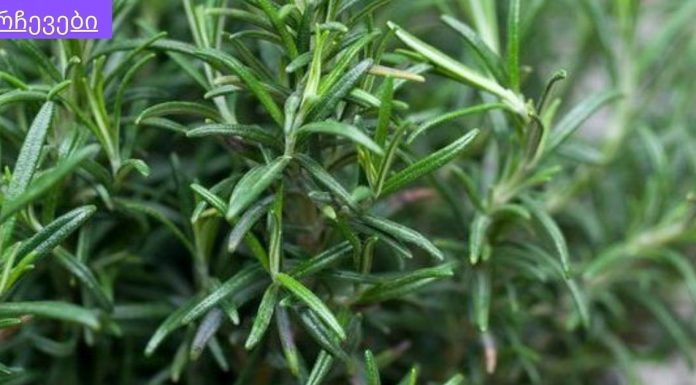 როგორ მოვამზადოთ ბუნებრივი შამპუნი თმის ზრდისთვის.