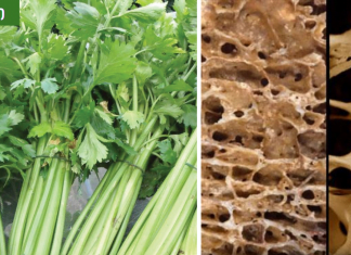 ძლიერი ძვლებისთვის აუცილებელი K ვიტამინის ბუნებრივი საწყობი: ნიახური