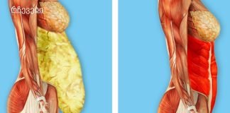 სად იმალება ორგანიზმში ტოქსიკური ნივთიერებები, სად უნდა ვეძებოთ წონის მომატების მიზეზები