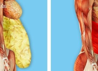 სად იმალება ორგანიზმში ტოქსიკური ნივთიერებები, სად უნდა ვეძებოთ წონის მომატების მიზეზები