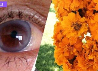 მოიშორეთ სათვალე! მხოლოდ 1 ინგრედიენტი დაგეხმარებათ მხედველობის 97%-ით გაუმჯობესებაში