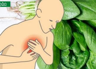 მაგნიუმით მდიდარი საკვების ჩამონათვალი – შეამცირებს შფოთვის, დეპრესიისა და სხვა დაავადებების რისკს