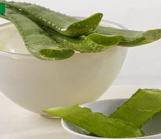 ალოეს საოცარი სამკურნალო თვისებები