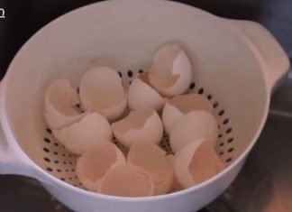 გახსოვდეს! არასოდეს გადაყაროთ კვერცხის ნაჭუჭი! ნახეთ რატომ!