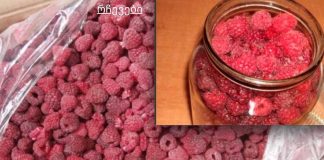 ჟოლოს სამკურნალო ნაყენი ჩიყვის საწინააღმდეგოდ. ჩემმა დედამთილმა მრავალი წლის წინ განკურნა ეს დაავადება.