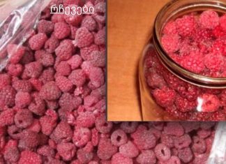 ჟოლოს სამკურნალო ნაყენი ჩიყვის საწინააღმდეგოდ. ჩემმა დედამთილმა მრავალი წლის წინ განკურნა ეს დაავადება.