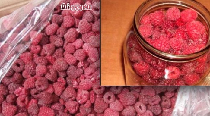 ჟოლოს სამკურნალო ნაყენი ჩიყვის საწინააღმდეგოდ. ჩემმა დედამთილმა მრავალი წლის წინ განკურნა ეს დაავადება.