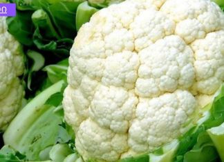 იცოდით რა კვებითი სარგებელი აქვს ყვავილოვან კომბოსტოს? იხილეთ დეტალურად.