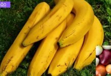 ხალხური საშუალებები, რომლებიც აშორებენ ნახველს ფილტვებიდან