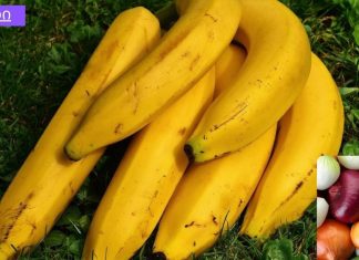 ხალხური საშუალებები, რომლებიც აშორებენ ნახველს ფილტვებიდან