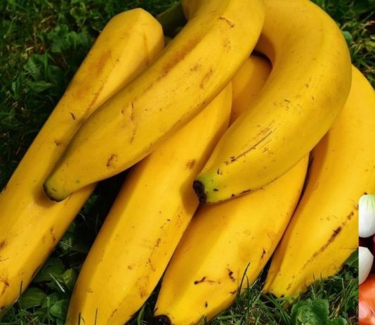 ხალხური საშუალებები, რომლებიც აშორებენ ნახველს ფილტვებიდან