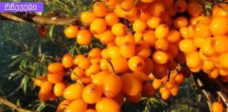 ახალგაზრდობის ელექსირი თქვენი სახისა და თმისთვის